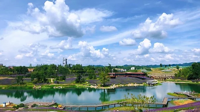 赞！助力绿色中国，东果博天喜获“2018年度可持续发展贡献奖”