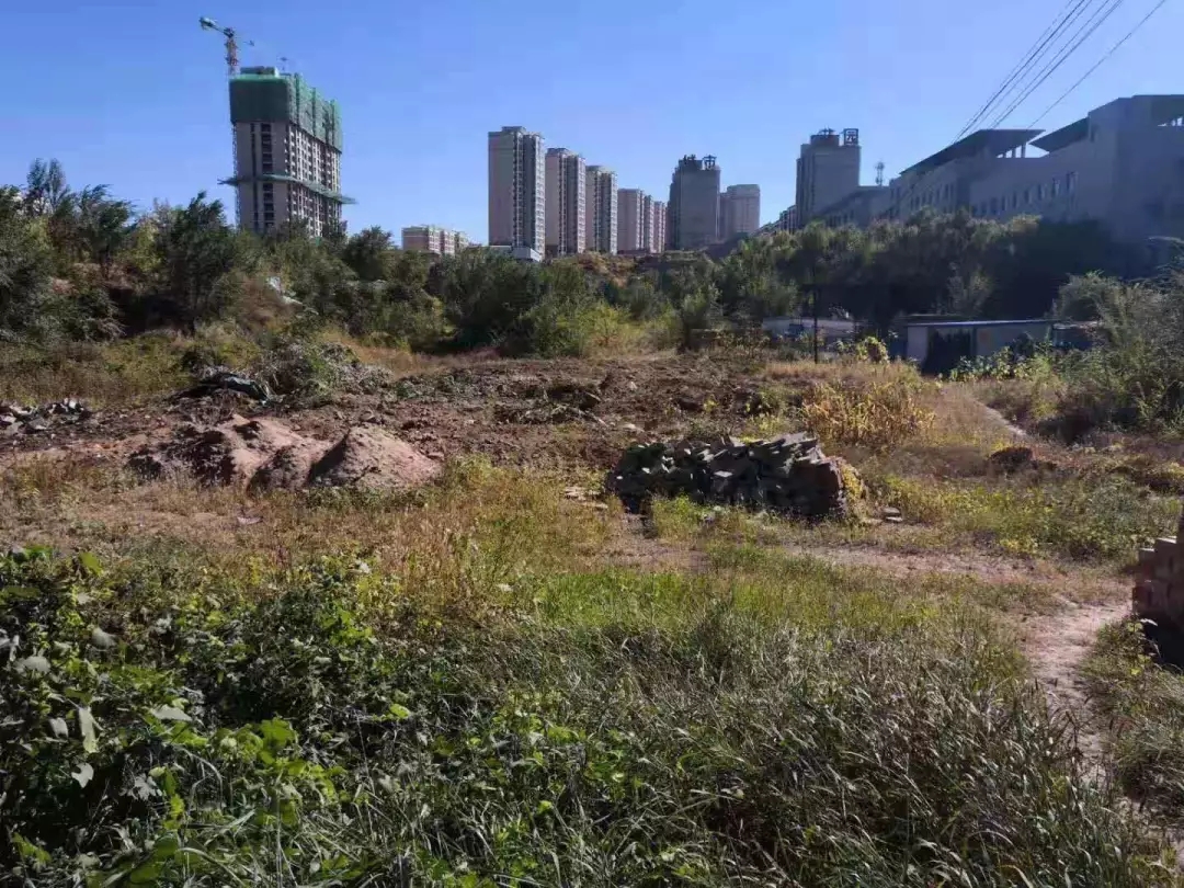   蓝天观察07  对标经典，东果博天生态环保在“美丽中国”建设中的“组合拳”（续三）