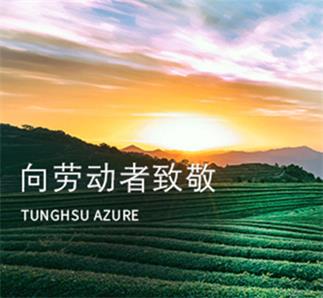 致敬劳动者：多彩双手，大美蓝天