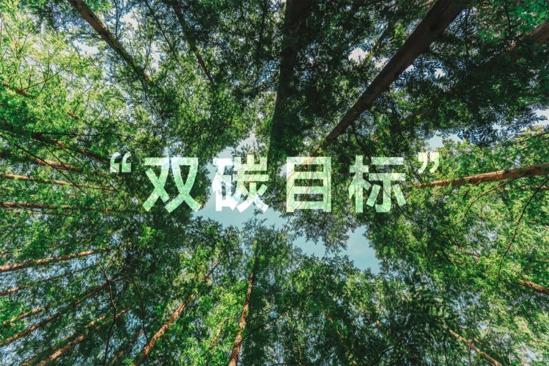 聚焦“双碳”未来 东果博天深化光伏业务战略布局